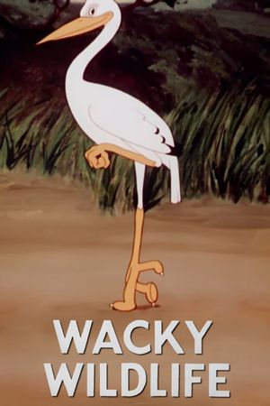 Wacky Wildlife's poster