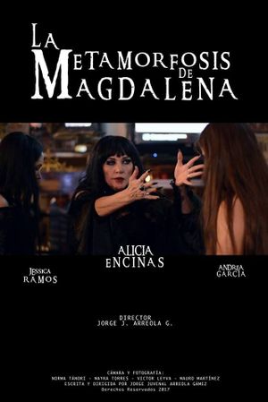 Magdalena's Metamorphosis's poster image