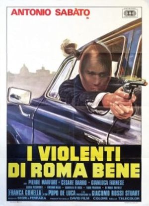 Violence for Kicks's poster