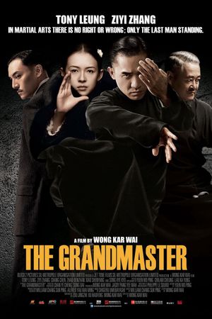 The Grandmaster's poster
