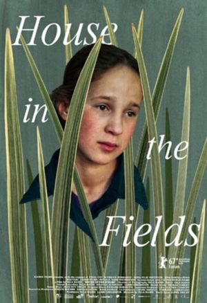 House in the Fields's poster