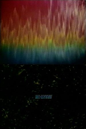 Re-entry's poster