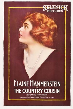 The Country Cousin's poster