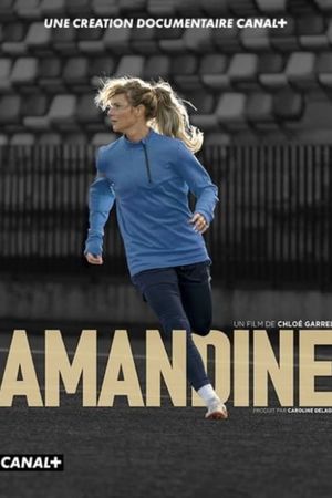 Amandine's poster
