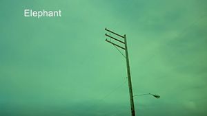 Elephant's poster