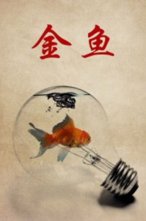 Goldfish's poster