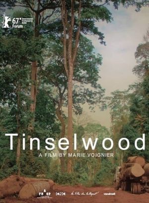 Tinselwood's poster image