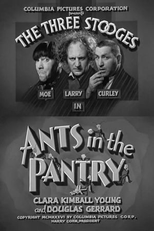 Ants in the Pantry's poster image
