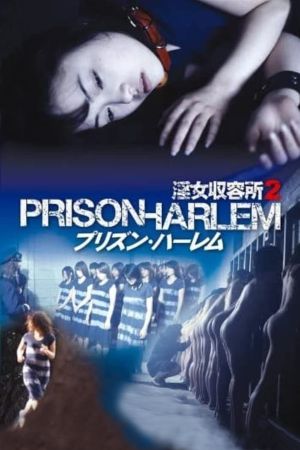 Injo Shuuyoujo 2: Prison Harlem's poster