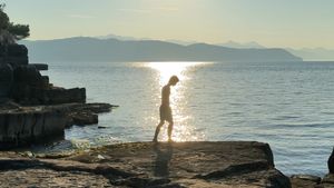 Summer on a solitary beach's poster