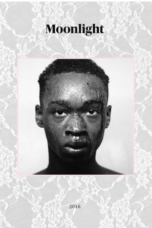 Moonlight's poster