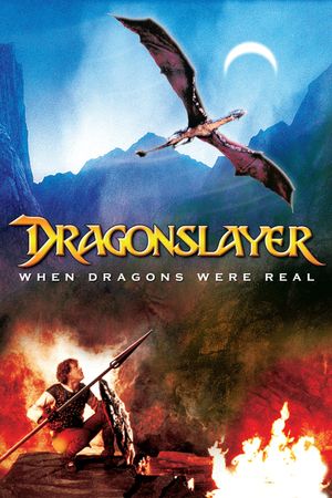 Dragonslayer's poster
