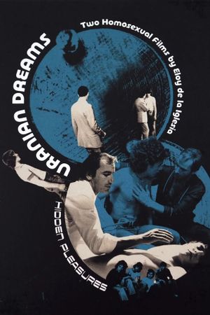 Hidden Pleasures's poster