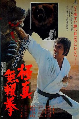 Karate Bear Fighter's poster