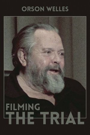 Filming 'the Trial''s poster