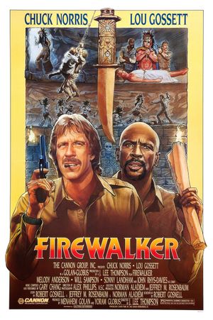Firewalker's poster