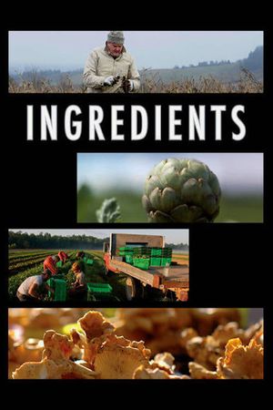 Ingredients's poster