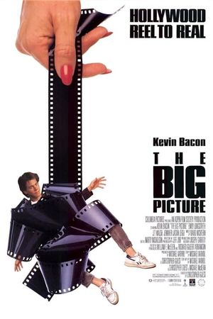 The Big Picture's poster