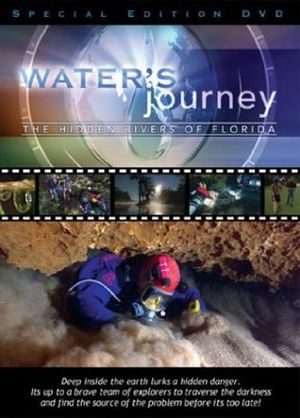 Water's Journey: The Hidden Rivers of Florida's poster