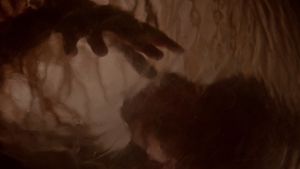 Body Snatchers's poster