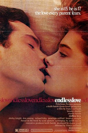 Endless Love's poster