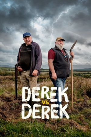 Derek vs Derek's poster image