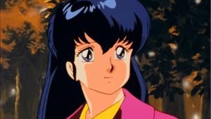 Maison Ikkoku: Through the Passing of the Seasons's poster