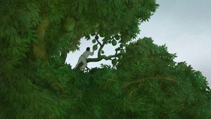 The Red Turtle's poster