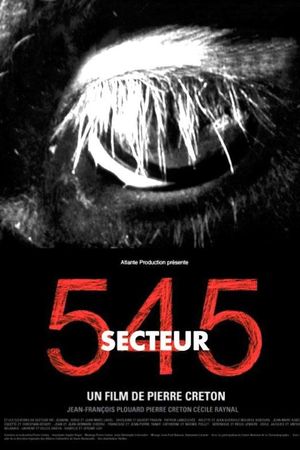 Secteur 545's poster