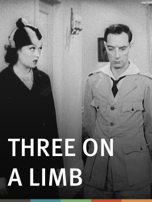 Three on a Limb's poster