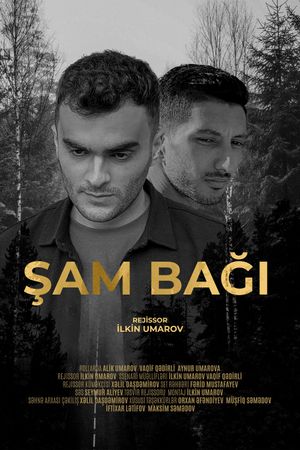 Şam Bağı's poster