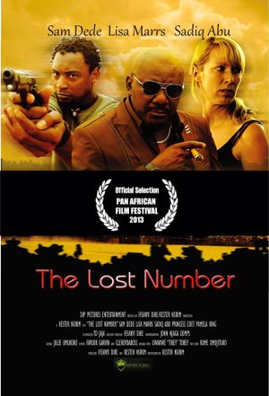 The Lost Number's poster image