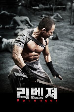 Revenger's poster