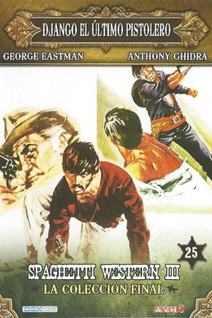 Django the Last Killer's poster