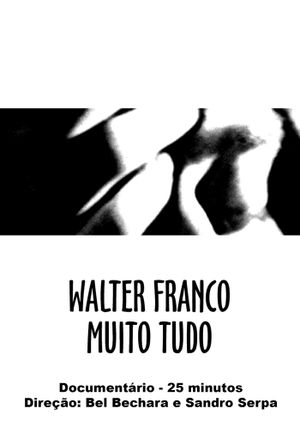 Walter Franco Much Everything's poster image