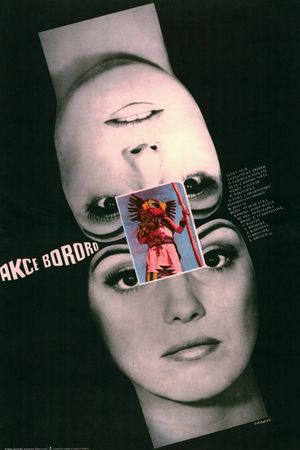 Operation Bororo's poster