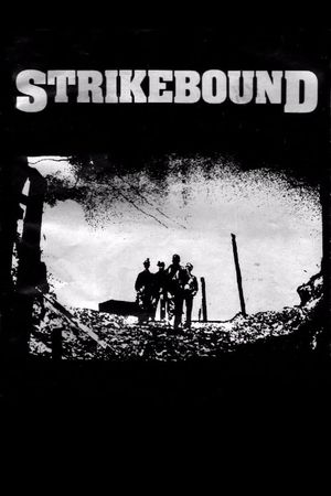 Strikebound's poster