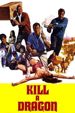 Kill a Dragon's poster