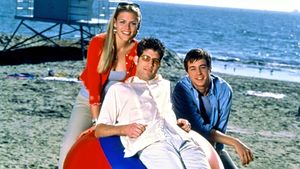 Spring Break Lawyer's poster