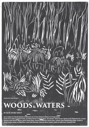 Woods and Waters's poster