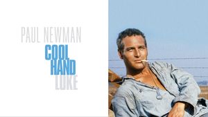 Cool Hand Luke's poster