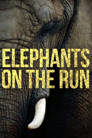 Elephants on the Run's poster