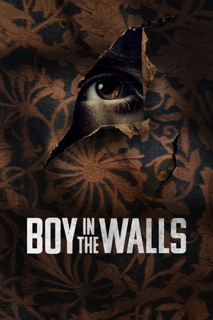 Boy in the Walls's poster image