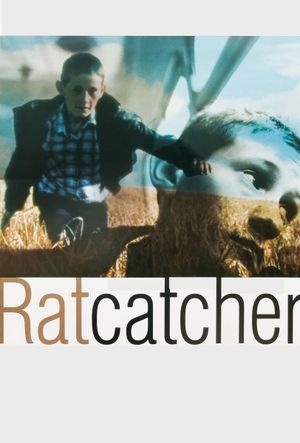 Ratcatcher's poster