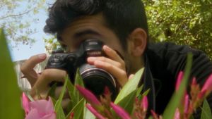 Flowers's poster