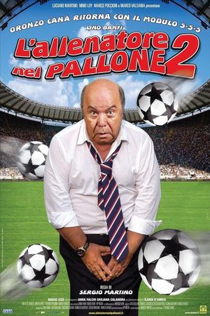 L'allenatore nel pallone 2's poster