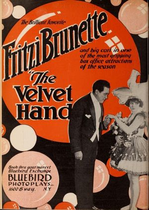The Velvet Hand's poster image