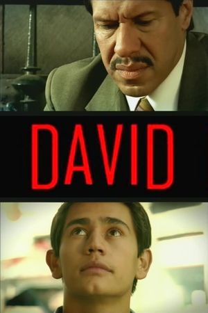 David's poster