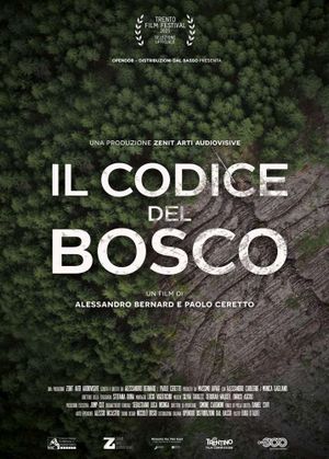 Il codice del bosco's poster