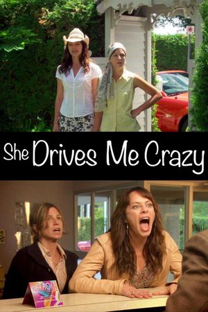 She Drives Me Crazy's poster